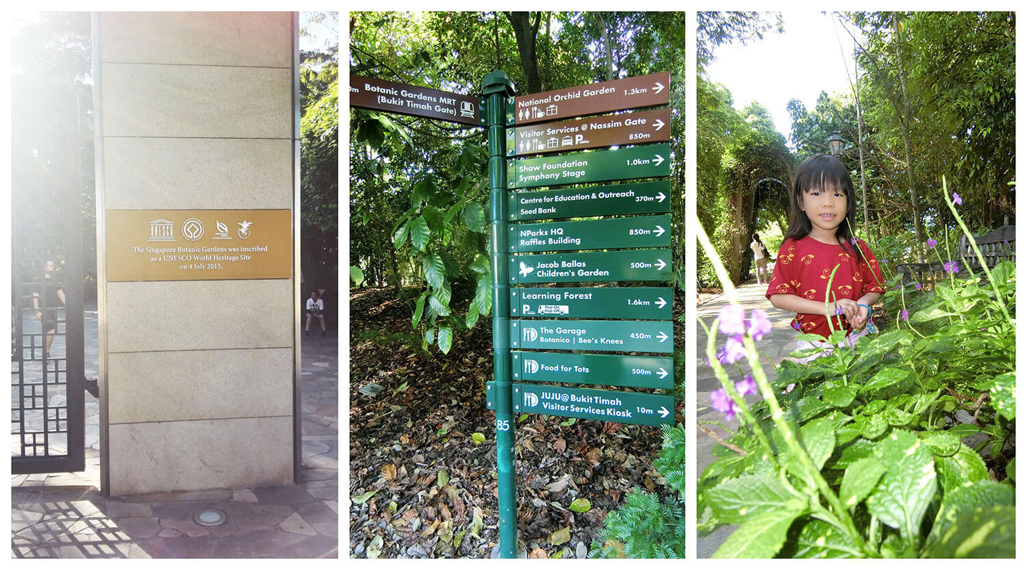 Singapore botanic gardens map