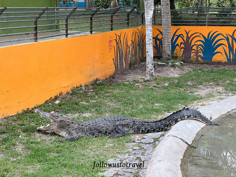 馬六甲鱷魚公園 taman buaya melaka