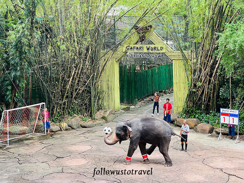 曼谷景点 泰国野生动物园