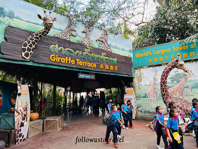曼谷景点 safari world喂食长颈鹿