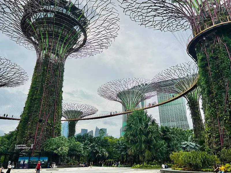 新加坡濱海灣花園ocbc空中步道