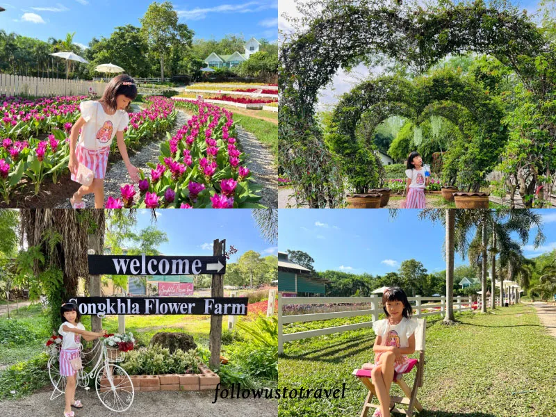 宋卡一日遊 宋卡景點 Songkhla Flower Farm