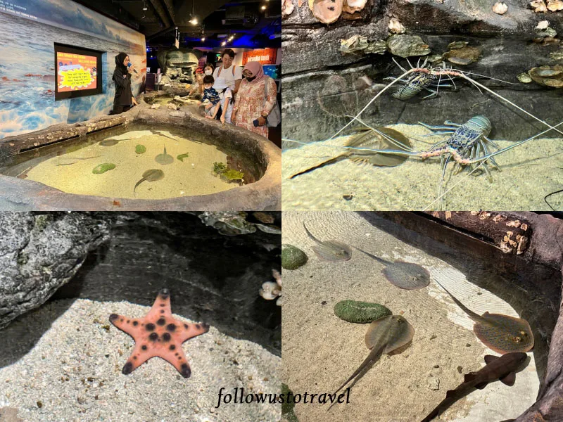 吉隆坡景點吉隆坡水族館 aquaria klcc Evolution Zone