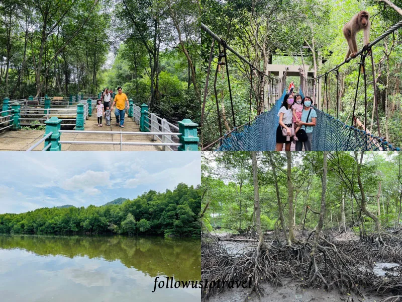 Sitiawan实兆远景点红树林生态公园 Taman Paya Bakau