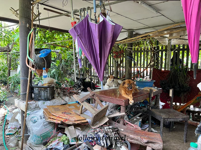 曼谷水上市場空叻瑪榮水上市場 Khlong Lat Mayom Floating Market 蘭花園