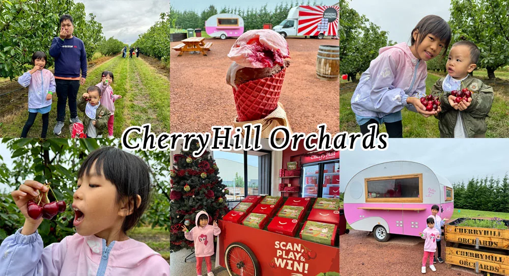 墨爾本景點 CherryHill Orchards 實現櫻桃自由