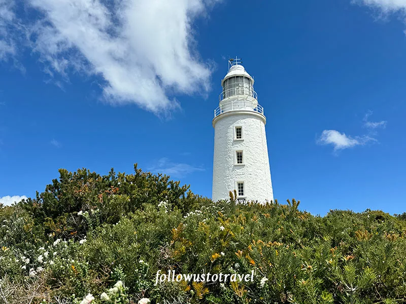 布魯尼島一日遊 Bruny Island 布魯尼景點布魯尼角燈塔 Cape Bruney Lighthouse