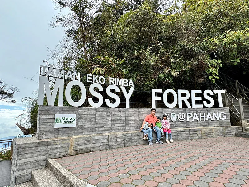 金馬倫景點 苔蘚森林 Mossy Forest